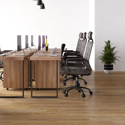 Canadian Oak 845